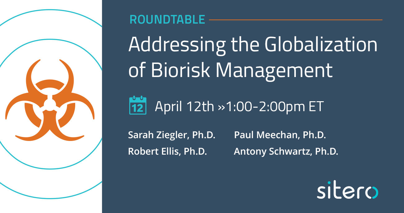 Addressing the Globalization Roundtable 1300×686 2023 v4