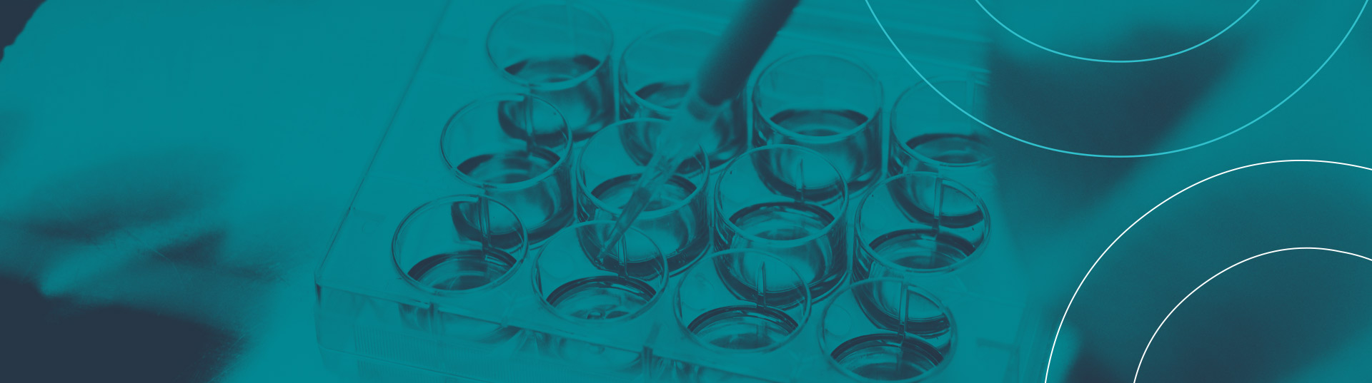 IRB Division - Sitero Clinical Trial Services