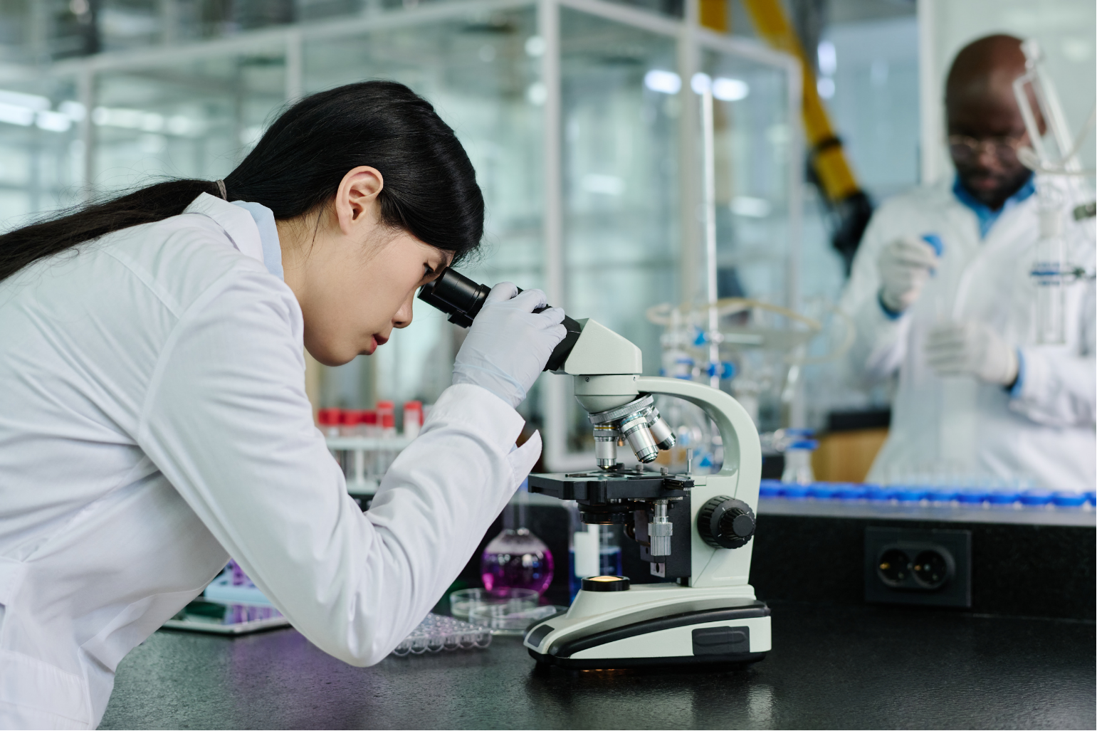 Mentor Electronic Data Capture for Clinical Trials - Sitero